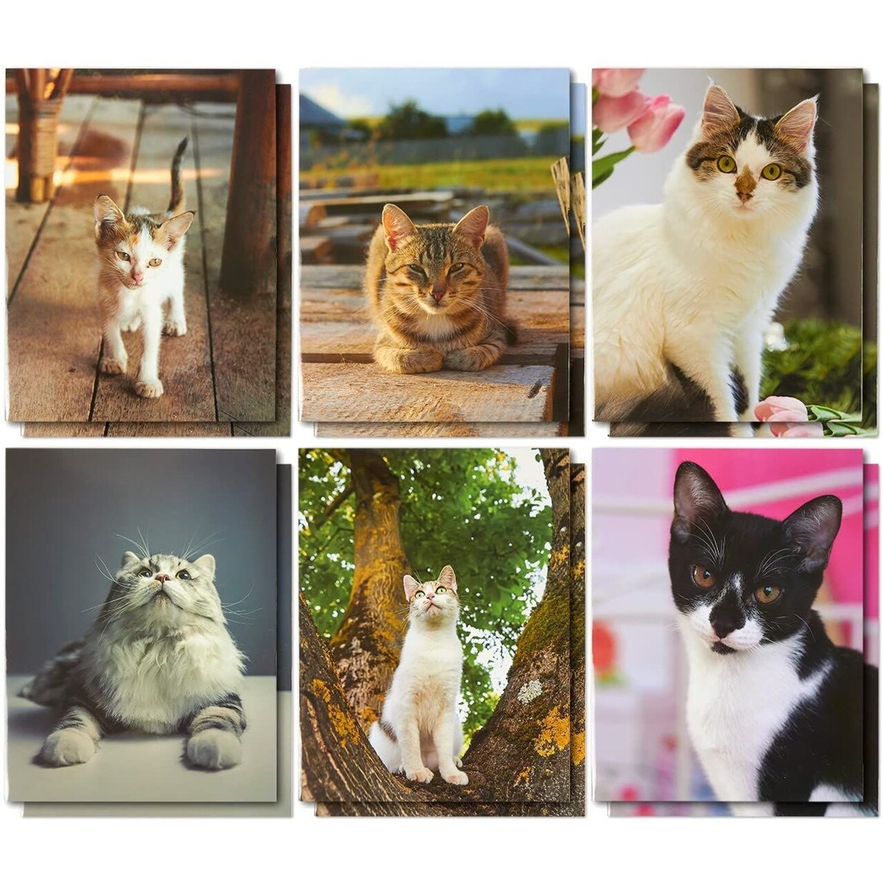 Kitty Pocket Folders for Girls, School Supplies (6 Designs, 12 Pack)